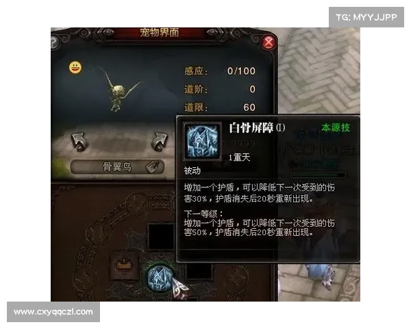 《斗战神取经人初级攻略全方位指南助你轻松上手》