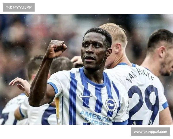 探寻维尔贝克与黑贝称呼背后的深层人格建构与多重文化隐喻之大谜